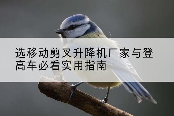 延平电动升降机厂家-选移动剪叉升降机厂家与登高车必看实用指南