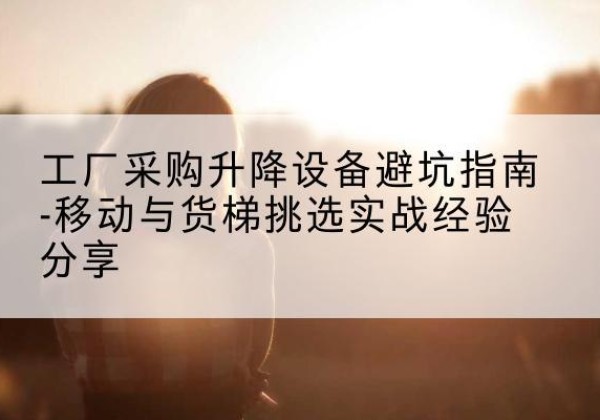 延平移动式升降机怎么选-工厂采购升降设备避坑指南-移动与货梯挑选实战经验分享