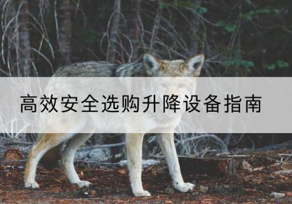 延平升降货梯厂家推荐-*安全选购升降设备指南