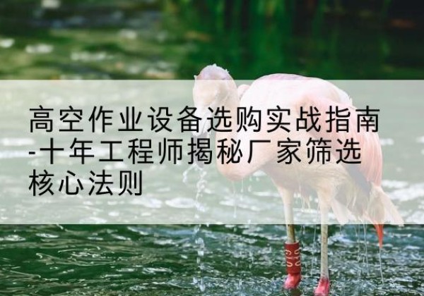 延平剪叉式升降机厂家-高空作业设备选购实战指南-十年工程师揭秘厂家筛选核心法则